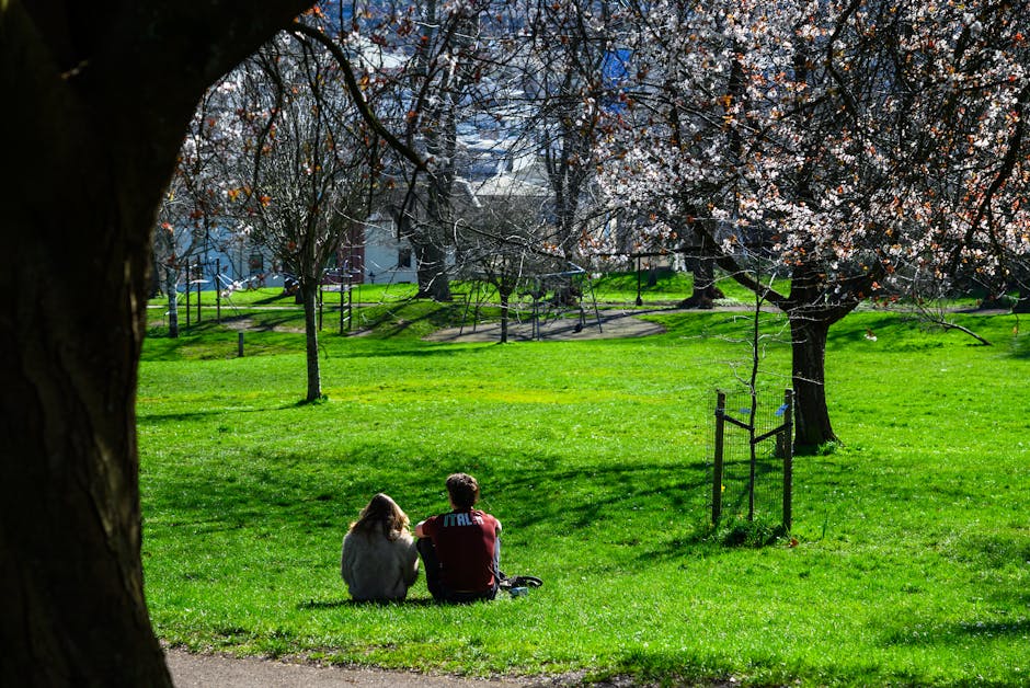 Verduurzamen per Wijk in Utrecht: Overvecht tot Lunetten
